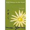 WILD DAISIES IN THE SAND