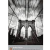 VIEW FROM THE BRIDGE / ALL MY SONS