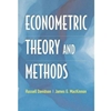 Econometric Theory & Methods