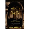 CITY OF FALLING ANGELS