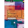 INTRODUCTION TO VISUAL CULTURE