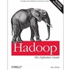HADOOP: THE DEFINITIVE GUIDE
