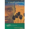 SMALL GATHERING OF BONES A