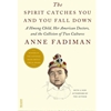 SPIRIT CATCHES YOU & YOU FALL DOWN