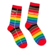 Rainbow Universal Sock