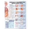 SEXUALLY TRANSMITTED INFECTIONS ANATOMICAL CHART [2E]