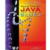OBJECTS FIRST WITH JAVA WITH CD-ROM