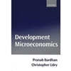 DEVELOPMENT MICROECONOMICS