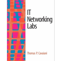 IT NETWORKING LABS