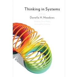 THINKING IN SYSTEMS: A PRIMER