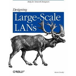 DESIGNING LARGE SCALE LANS