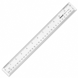 A 12 inch transparent ruler.