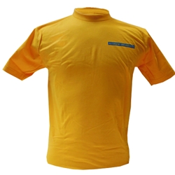 A gold crewneck t-shirt. Ryerson University in a blue box and gold text appears on the left of the chest