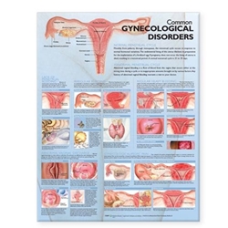 COMMON GYNECOLOGICAL DISORDERS ANATOMICAL CHART