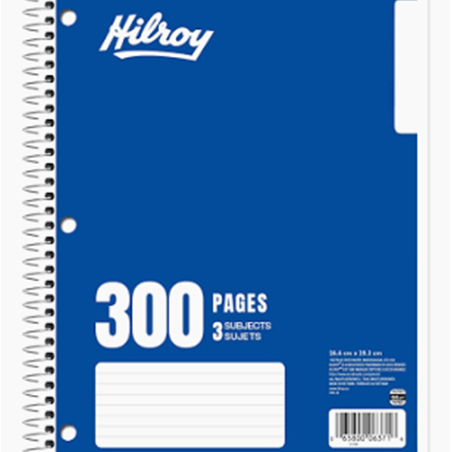 300 page Lined Notebook