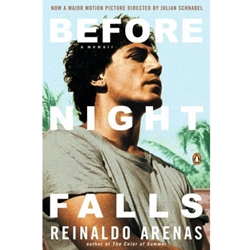 BEFORE NIGHT FALLS