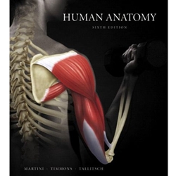 HUMAN ANATOMY